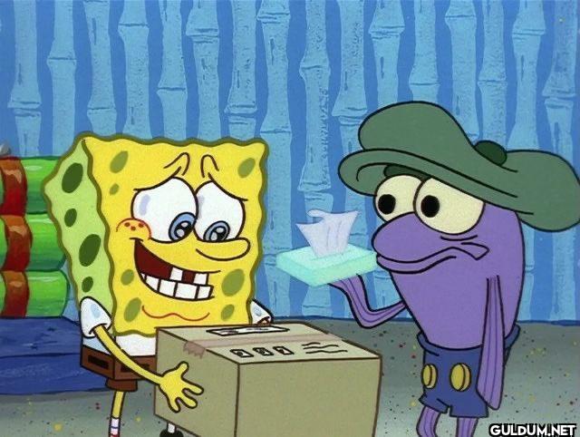 when it says shipping will...