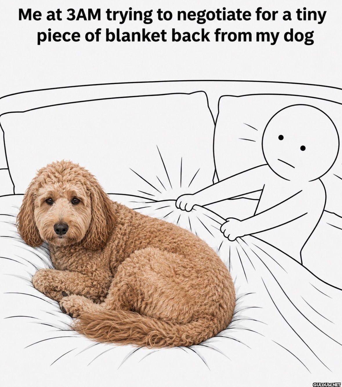 Me at 3AM trying to...