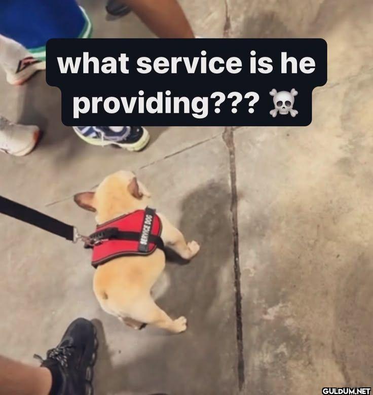 what service is he providing???