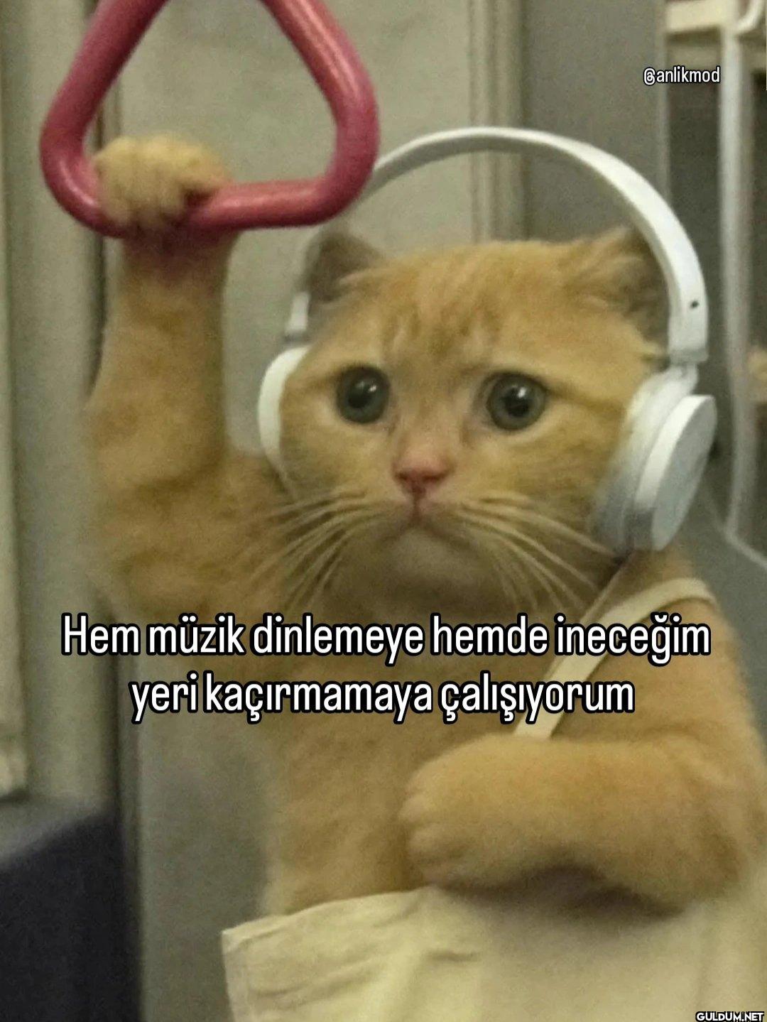 Ganlikmod Hem müzik...