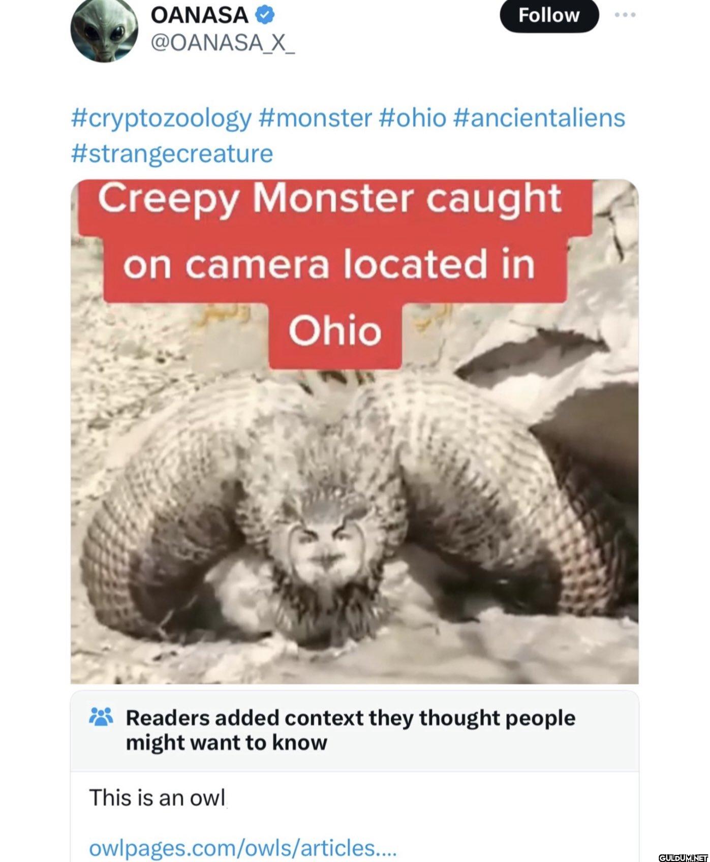Follow #cryptozoology...