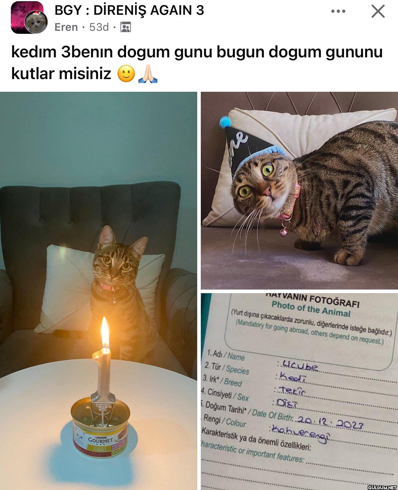 ÇOK TATLI LAN    BGY:...
