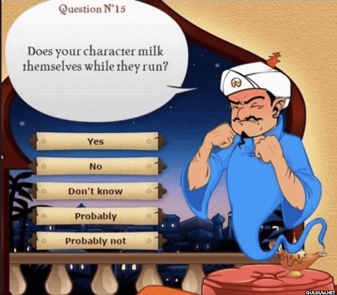 Question N°15 Does your...