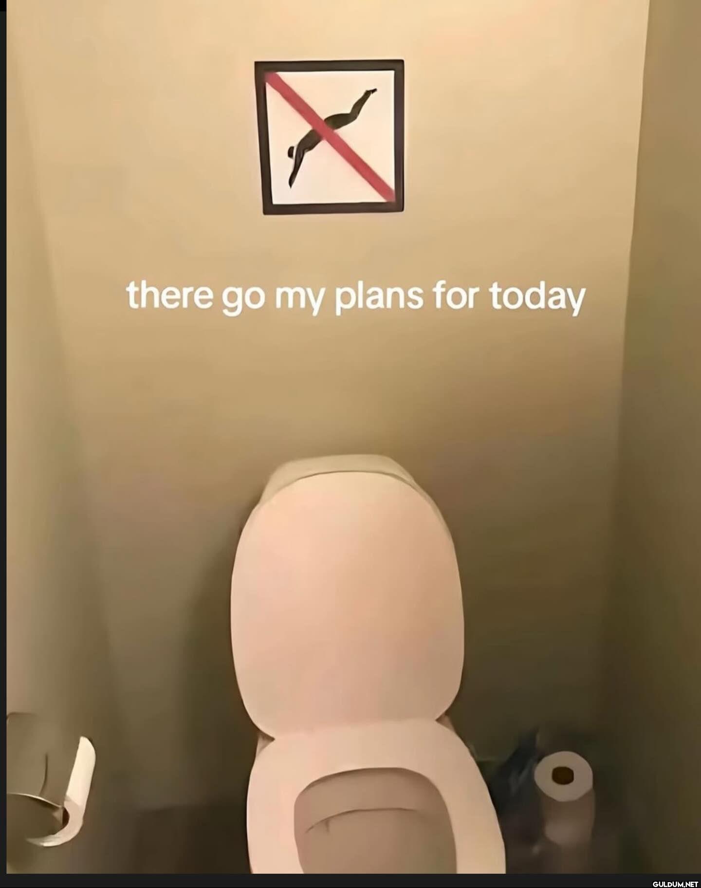 there go my plans for today