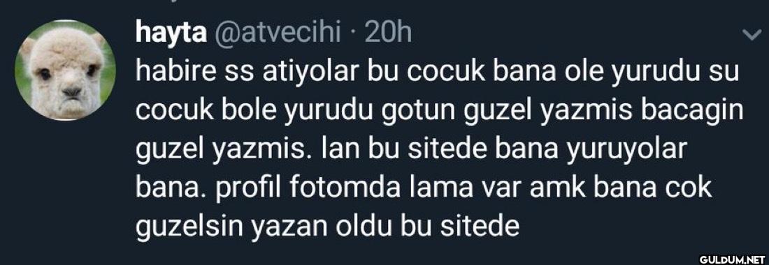 - 20h habire ss atiyolar...