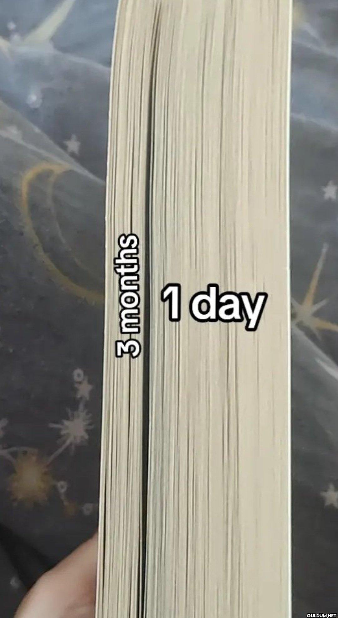 3-months 1 day