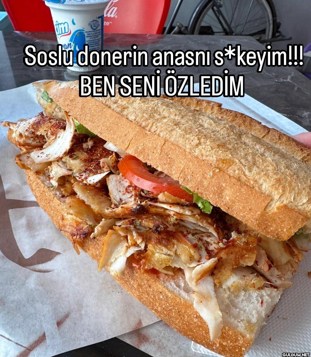 im ze Soslu donerin anasnı...