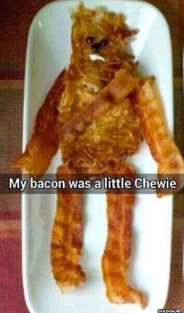 ︎ ︎ ︎ ︎    My bacon was a...