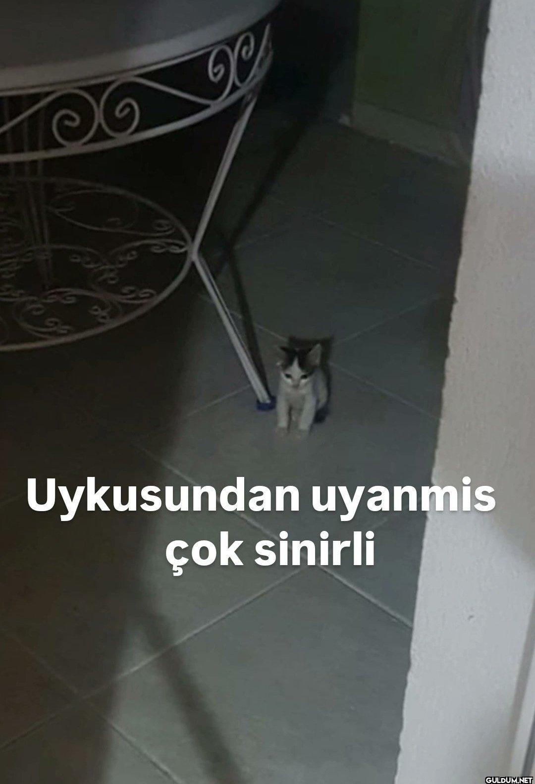 59 ୭୭ Uykusundan uyanmis...