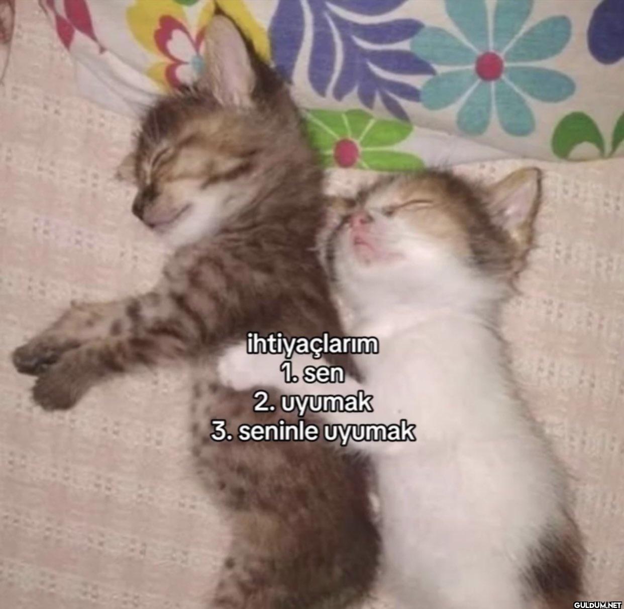 ihtiyaçlarım 1. sen 2....