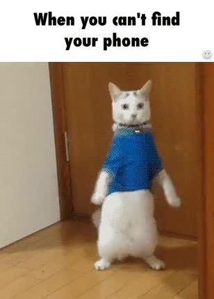 telefonumu cebimde bulamayınca ben