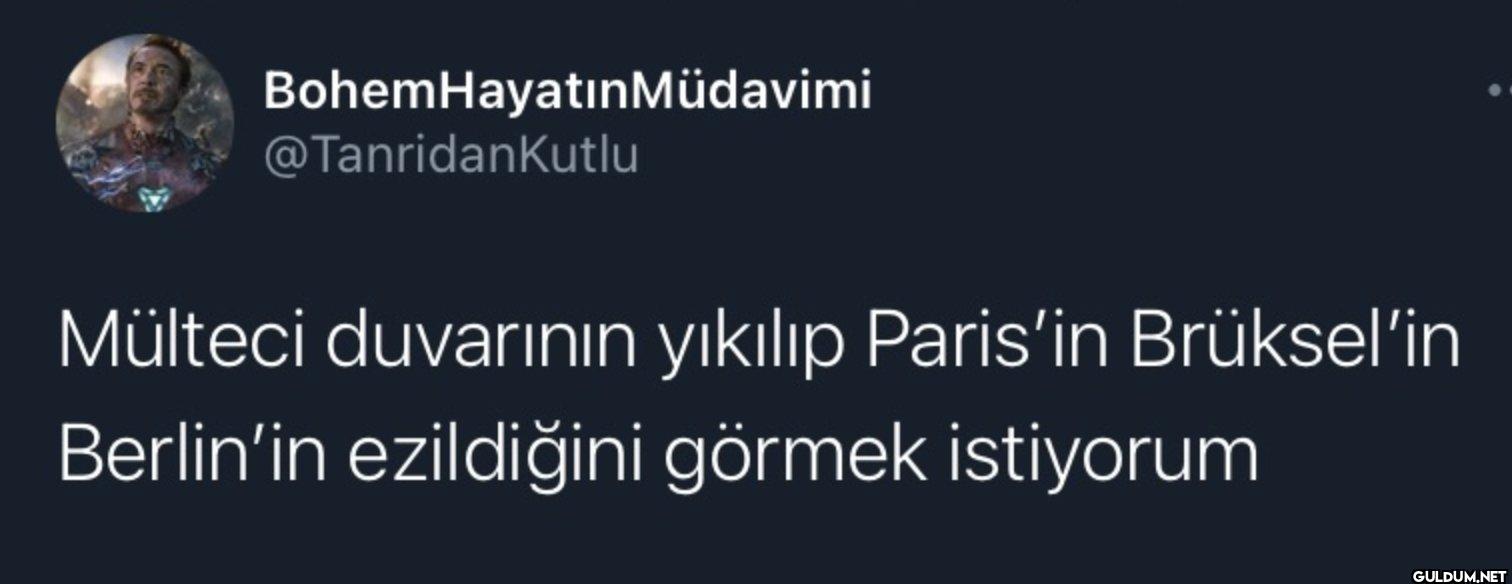 Mülteci duvarının yıkılıp...