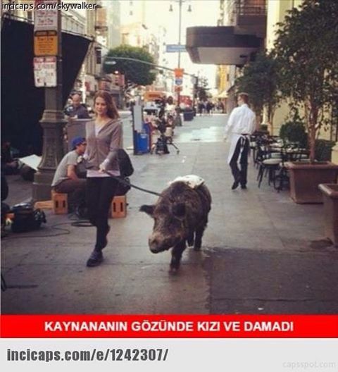 KAYNANANIN GÖZÜNDE KIZI VE DAMADI