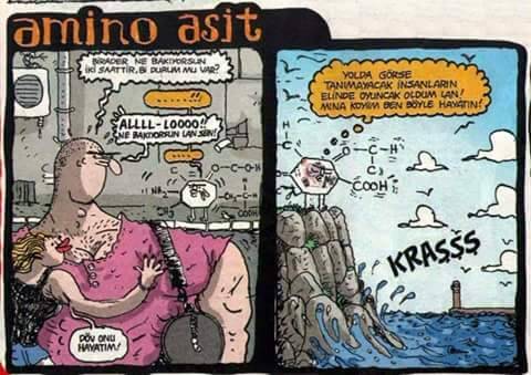 AMİNO ASİT

 -BİRADER NE...