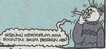 Sözünü kesiyorum ama...