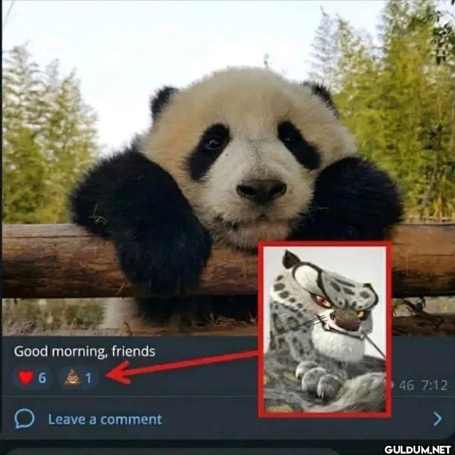 Good morning, friends 6 1...