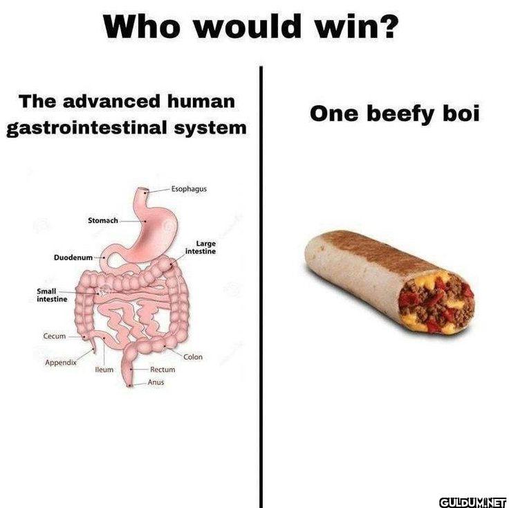 Who would win? The...