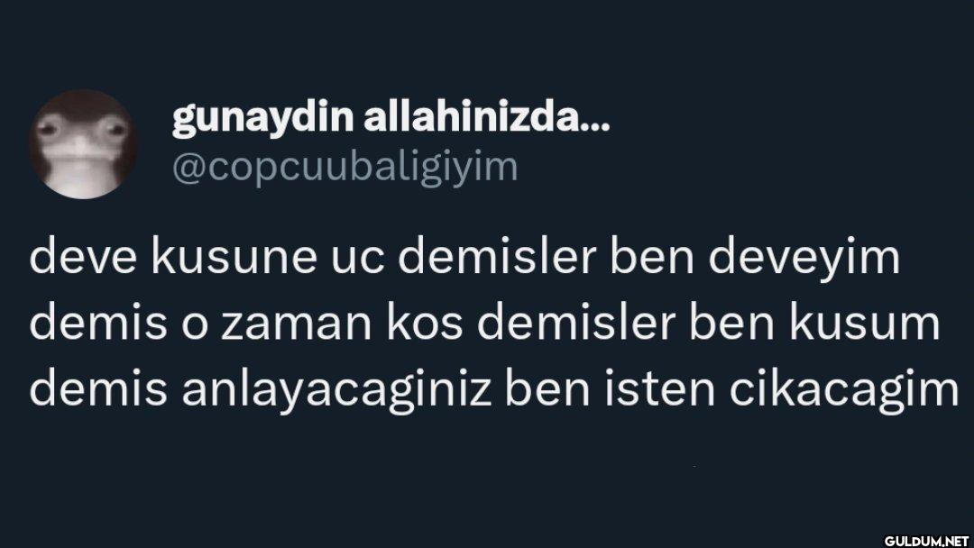 deve kusune uc demisler...