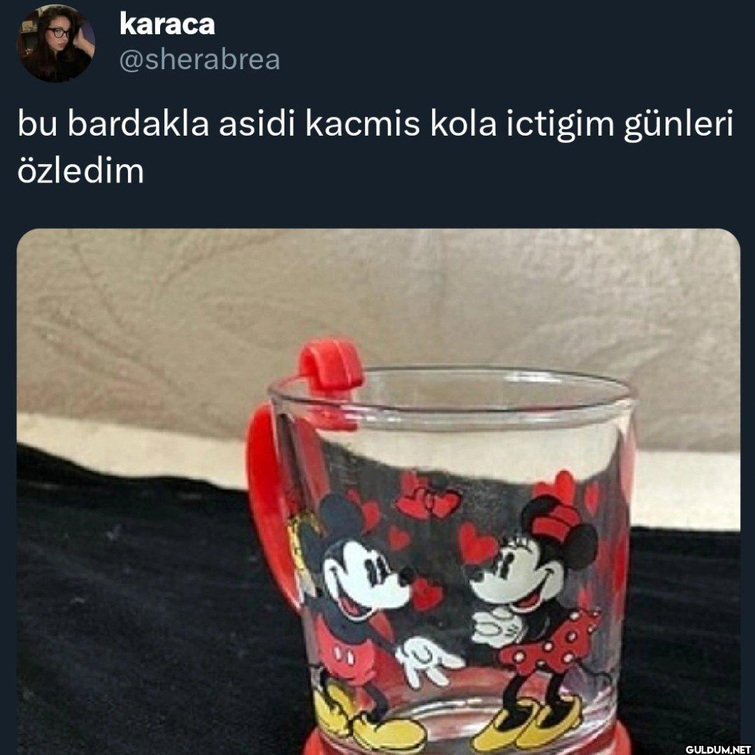 bu bardakla asidi kacmis...