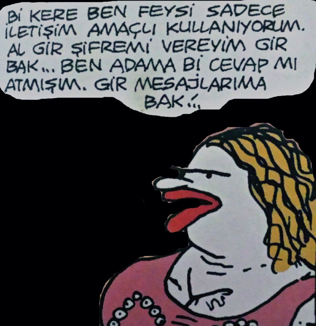 - Bi kere ben feysi sadece...