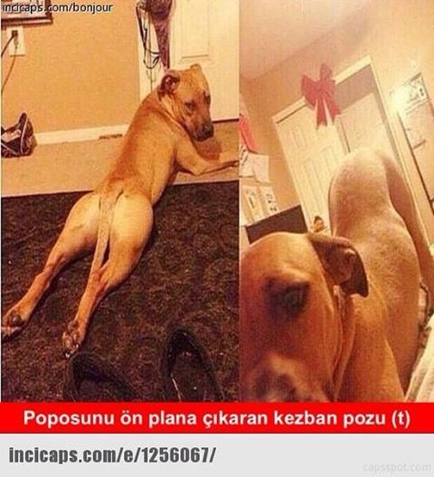 Poposunu ön plana çıkaran...