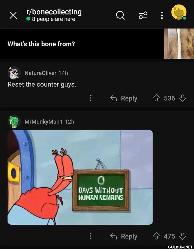 Х r/bonecollecting ● 8...