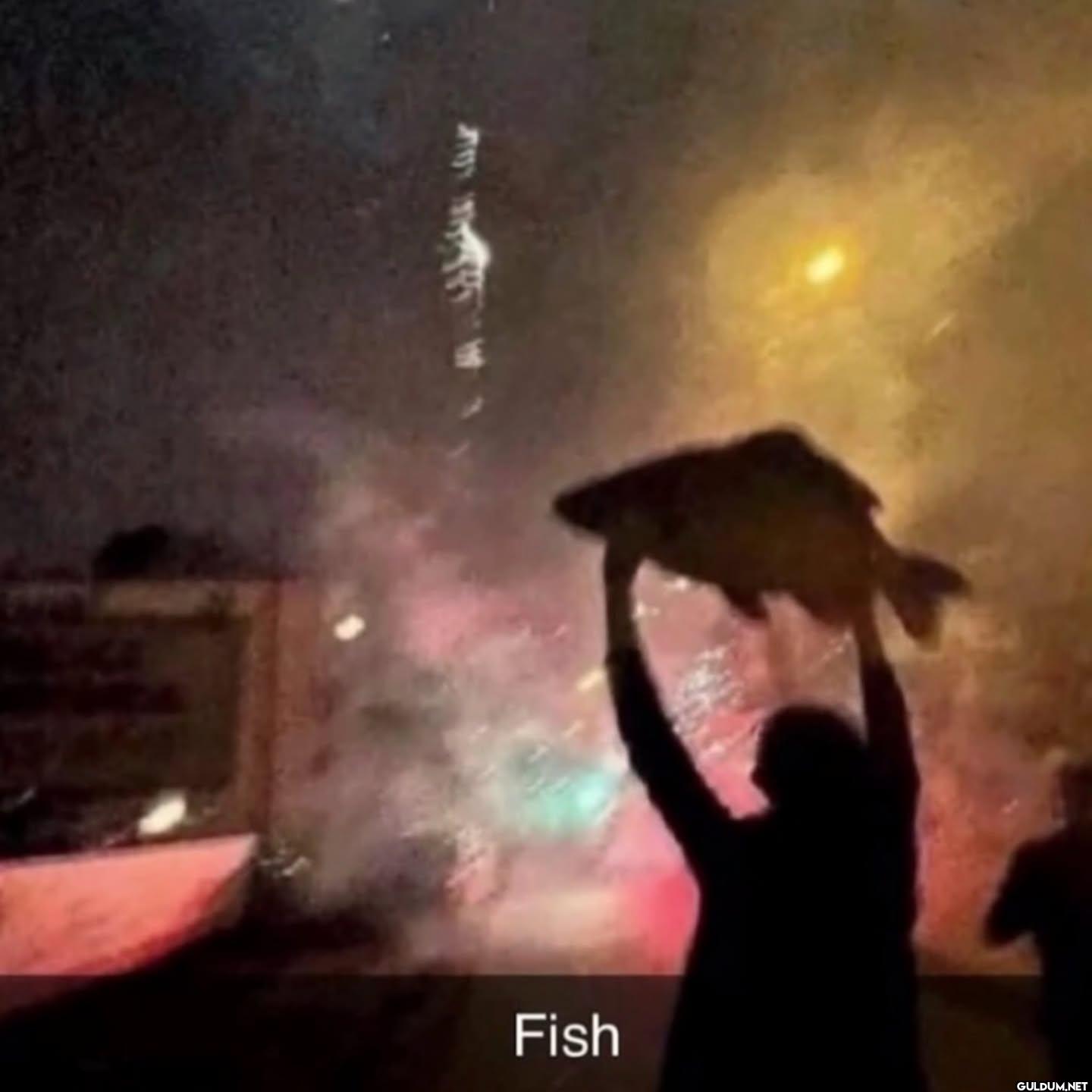 Fish