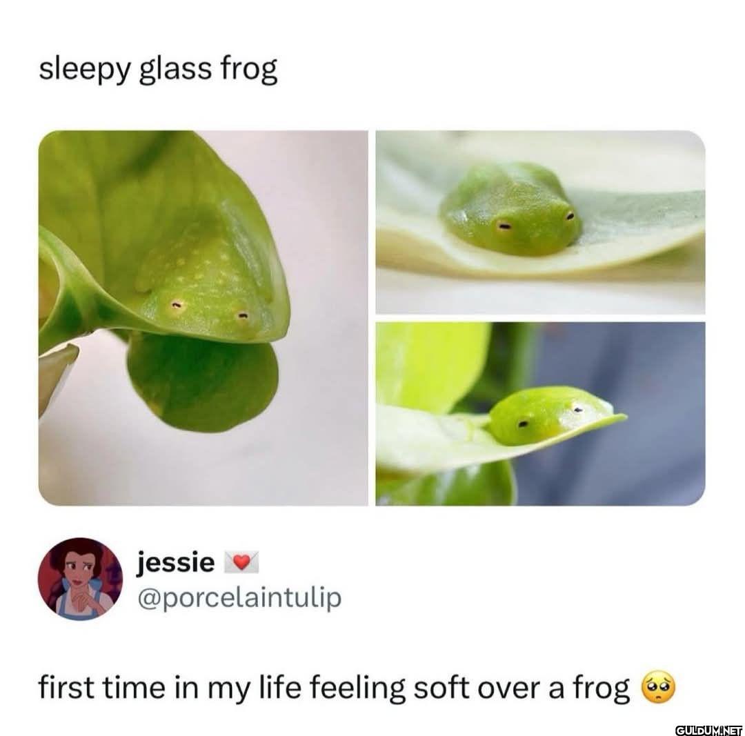 first time in my life...