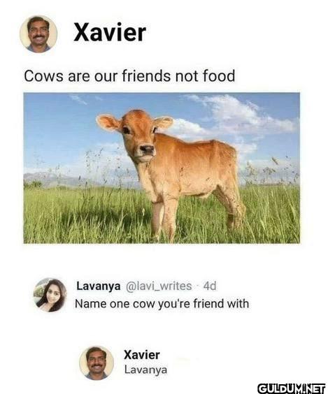 2.    Xavier Cows are our...