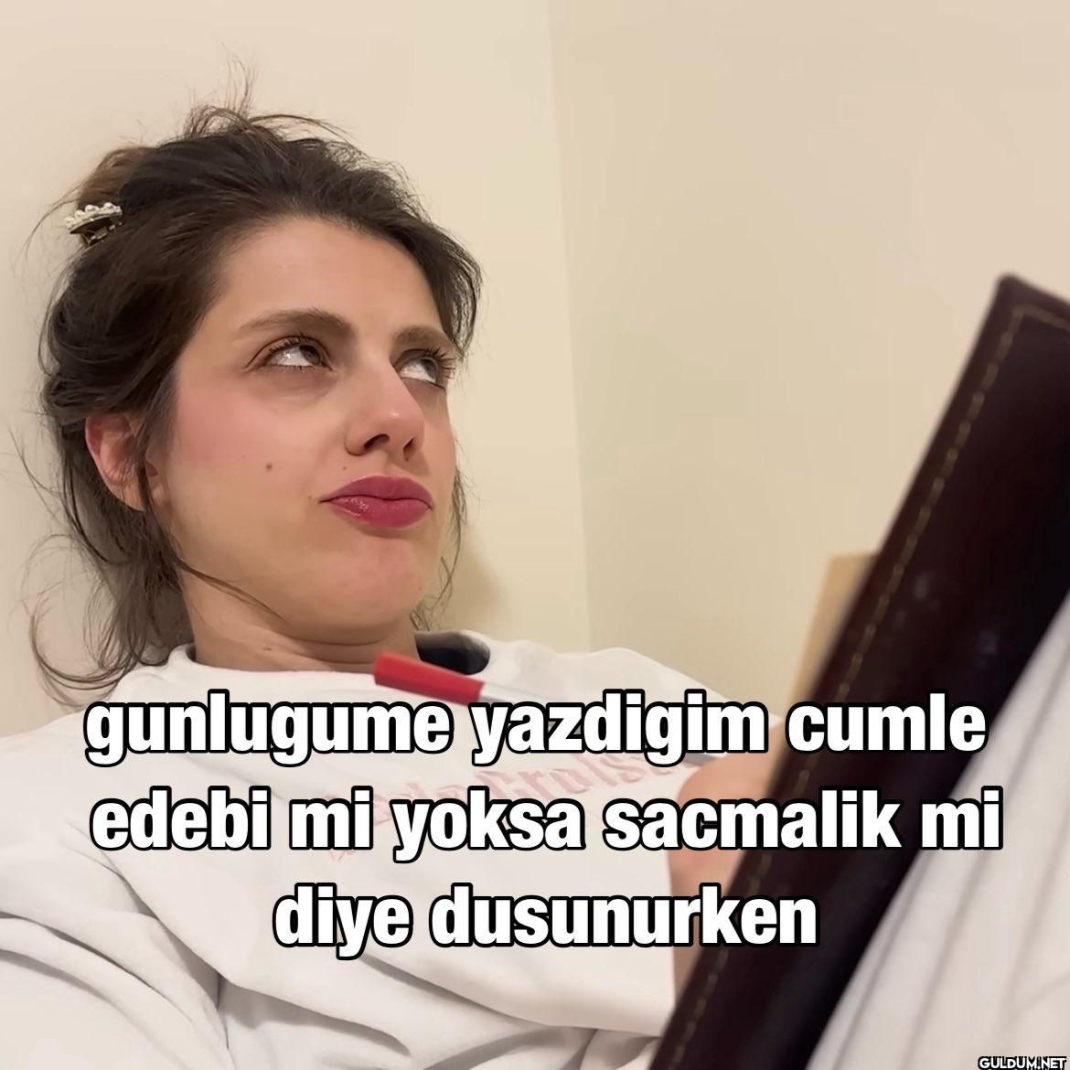 gunlugume yazdigim cumle...