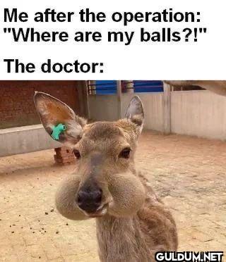Me after the operation:...