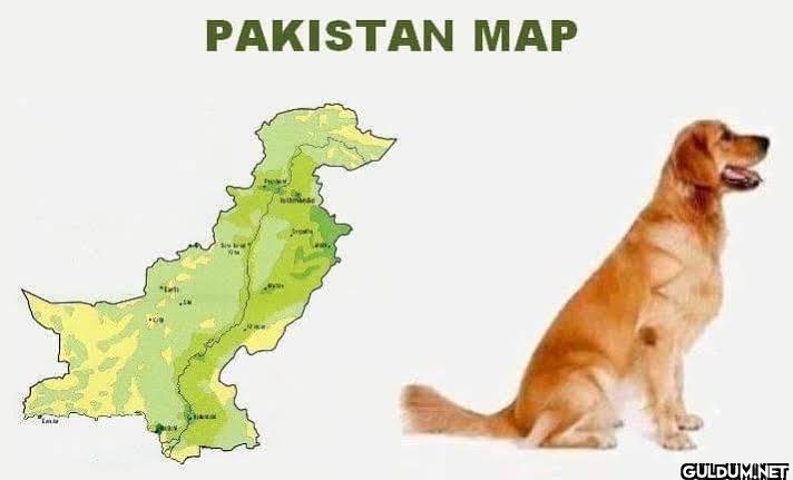 3. Pakistan Map🇵🇰    PAKISTAN MAP M
