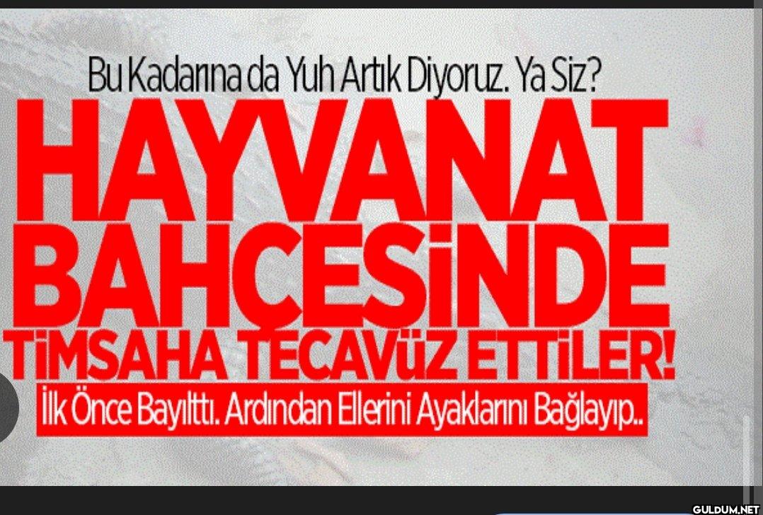 bundan ötesi olmaz derdim...
