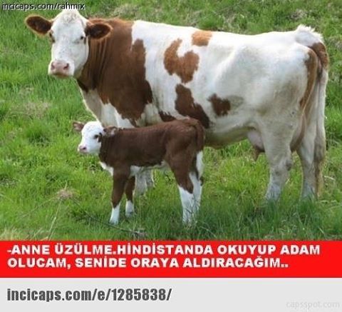 -ANNE ÜZÜLME-HİNDİSTANDA...