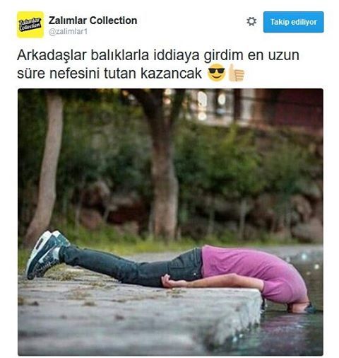 Zalimnlar collection
Takip...