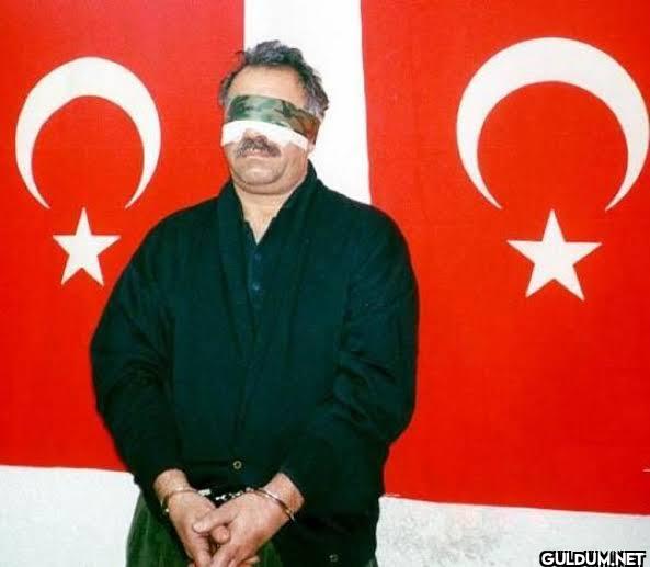Bebek katilleri dışarı,...