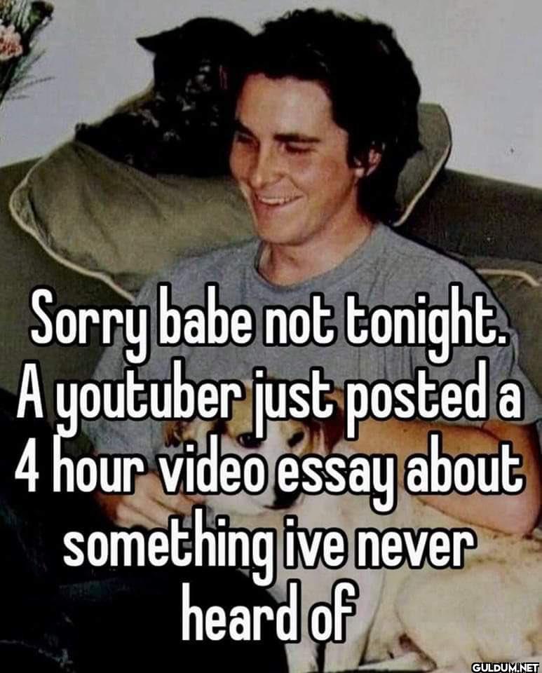 Sorry babe not tonight A...