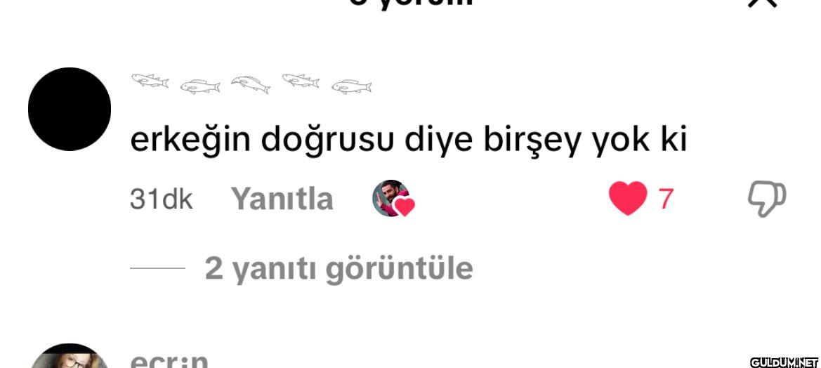 erkeğin doğrusu diye...