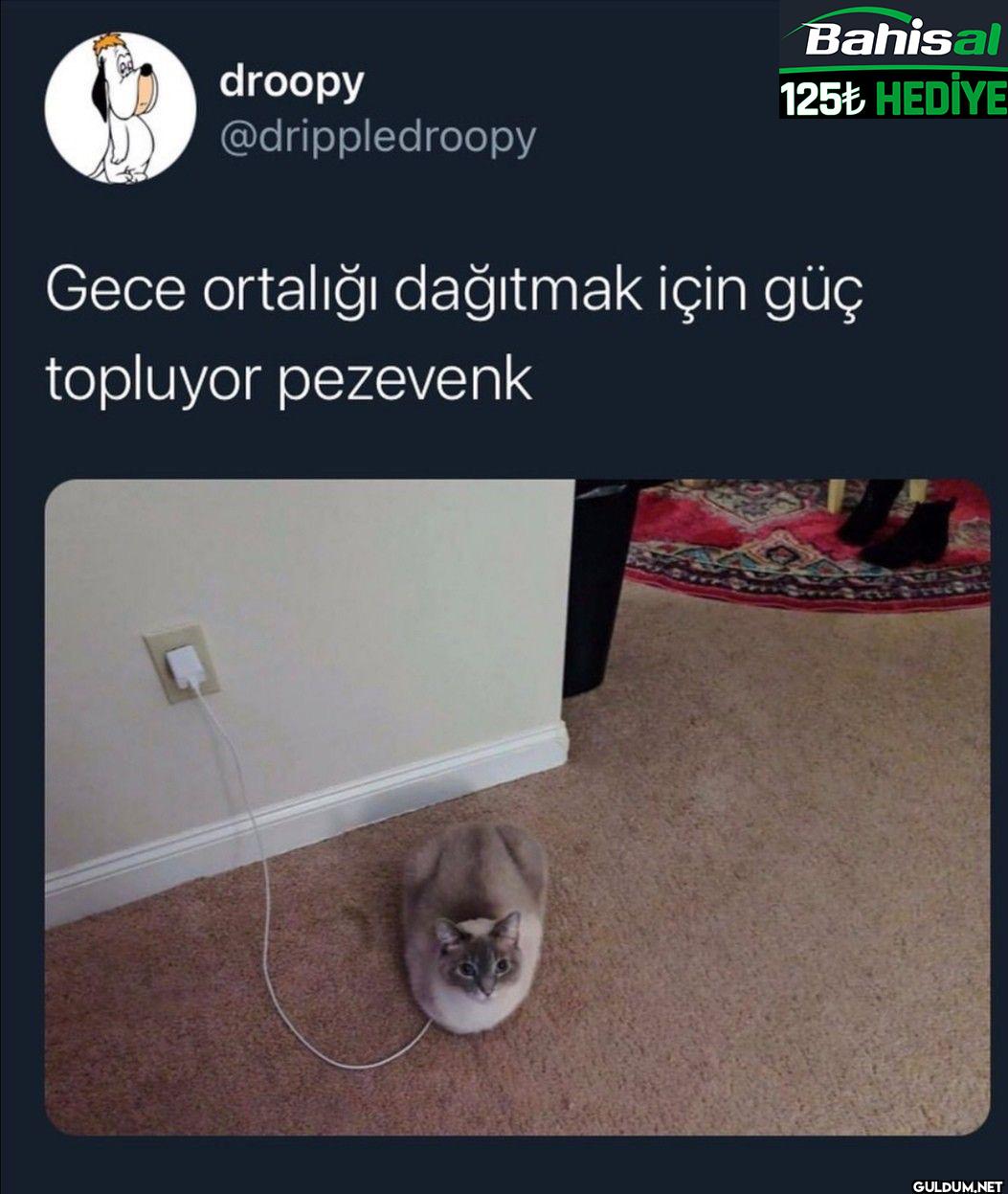 Gece ortalığı dağıtmak...