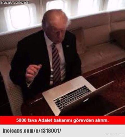 ncicalps.comvDe
5000 fava...