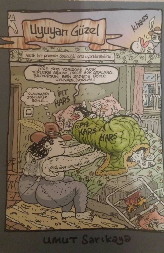 UYUYAN GÜZEL

 Ancak bir...