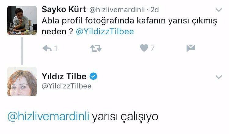 Sayko Kürt...
