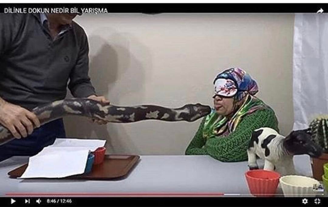 DİLİNLE DOKUN NEDİR BİL...