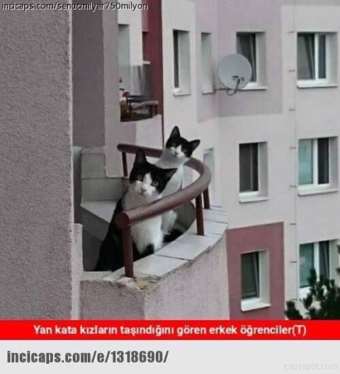Yan kata kızların...