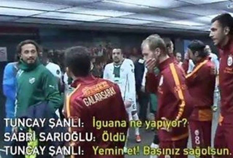 TUNCAY ŞANLI: İguana AS...