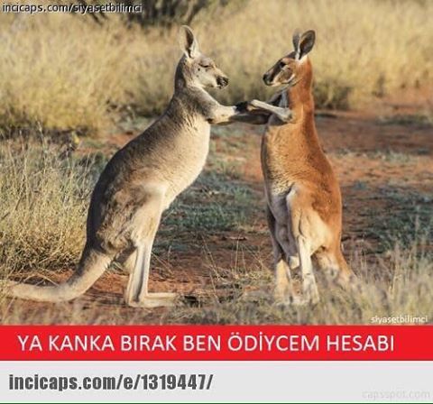 Ya kanka bırak ben ödiycem hesabı