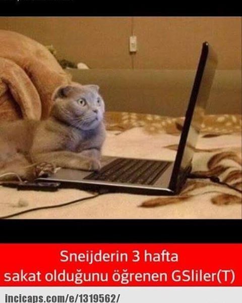 Sneijder'in 3 hafta sakat...