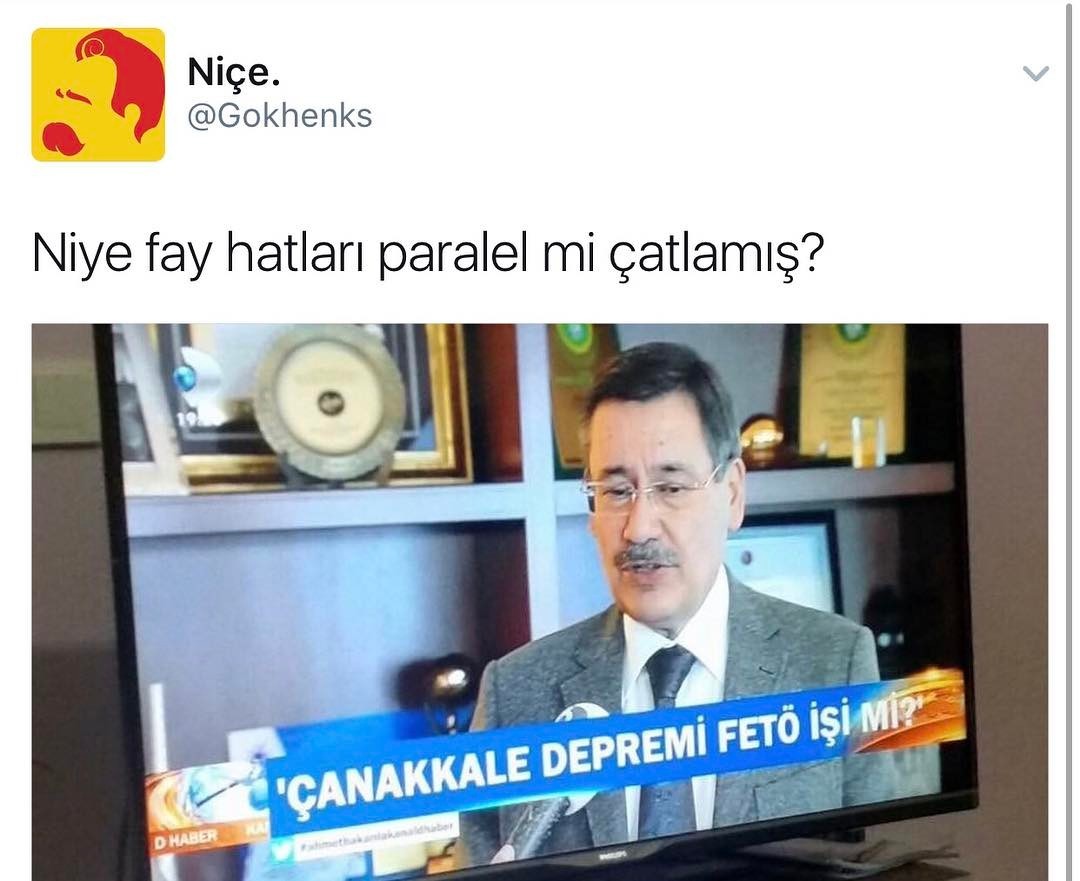 Niye fay hatları paralel...