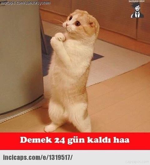 Demek 24 gün kaldı haa..