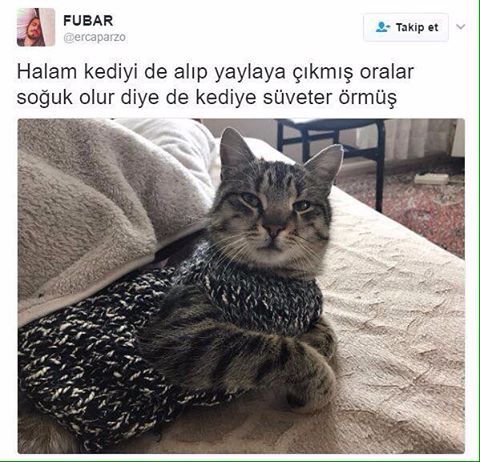 Halam kediyi'de alıp...